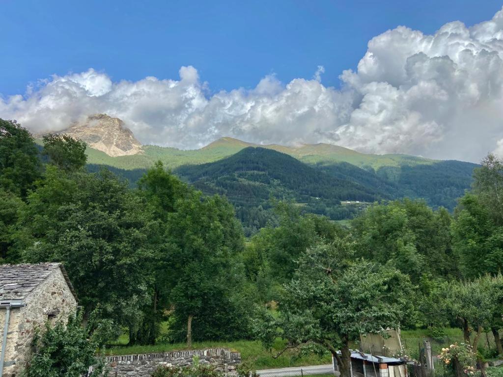 Bed and Breakfast Chasa Sassalbo Poschiavo Esterno foto