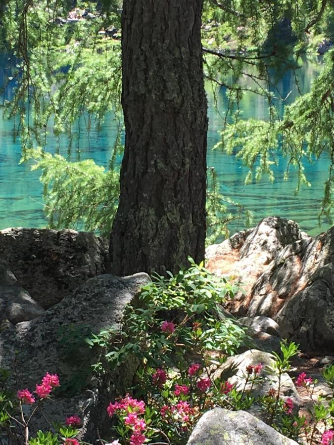 Bed and Breakfast Chasa Sassalbo Poschiavo Esterno foto